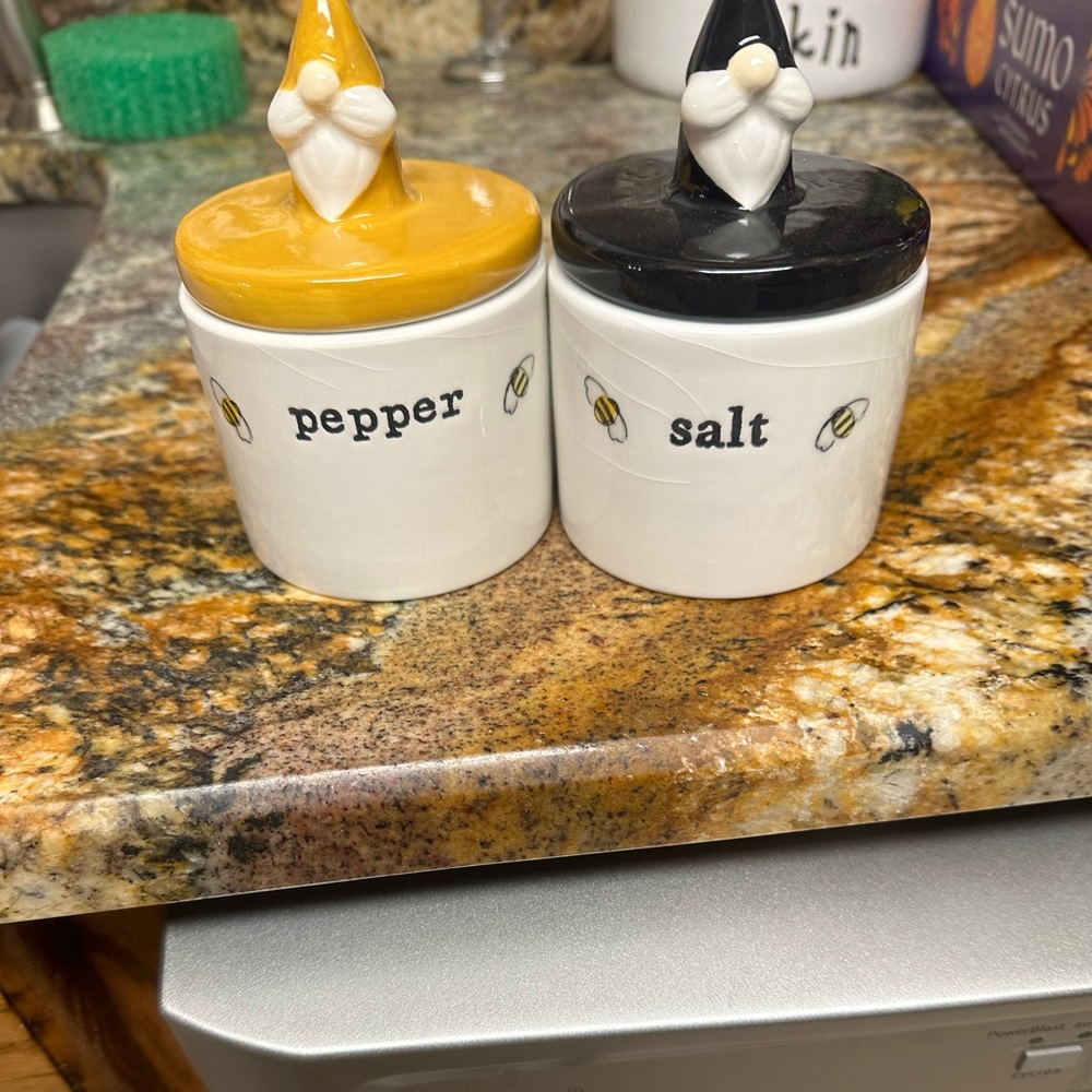 New Rae Dunn salt and pepper shakers